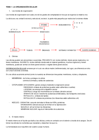 APUNTES-TEMA-1LA-ORGANIZACION-CELULAR.pdf