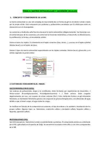 TEMA-4-MATRIZ-EXTRACELULAR-Y-ADHESION-CELULAR.pdf