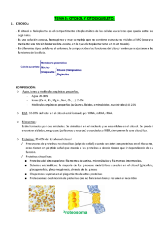 TEMA-5-CITOSOL-Y-CITOESQUELETO.pdf