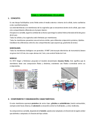 TEMA-3-MEMBRANAS-CELULARES.pdf