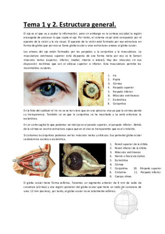 Temario-completo-anatomia.pdf