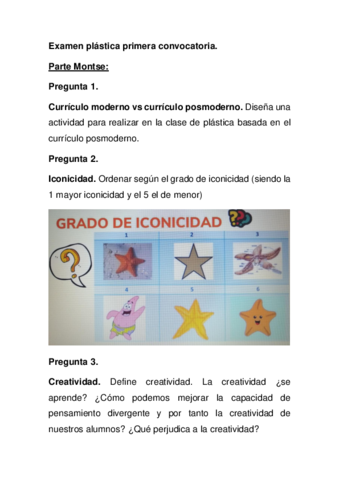 plastica-examen.pdf