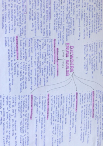 Esquemas-2-bach-historia-.pdf