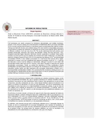 INFORME-DE-RESULTADOScorregido.pdf
