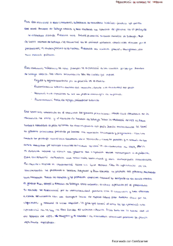 Comentario-de-texto-Abdicacion-de-Amadeo-de-Saboya-copia.pdf