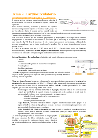 Tema-2-2.pdf