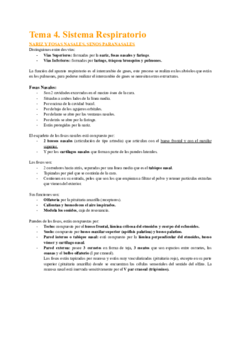 Sistema-respiratorio-1.pdf