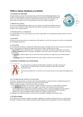 TEMA-10.pdf