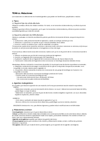 TEMA-11.pdf