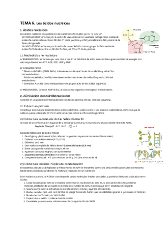 Tema-6.pdf