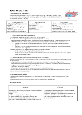 TEMA-8-Y-9.pdf