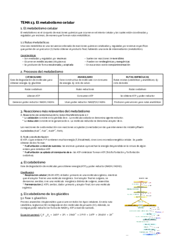 TEMA-13.pdf