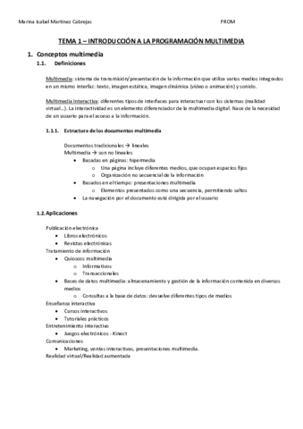 Resumen-Tema-1PROM.pdf