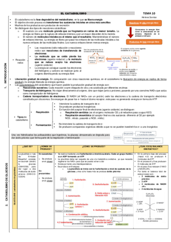 Temas-1011-helena-santos.pdf