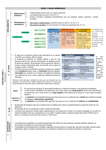 Temas-123456-helena-santos-.pdf