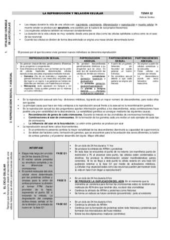 Temas-12131415-helena-santos.pdf