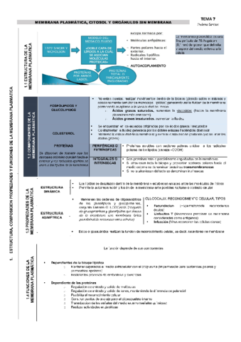 Temas-78-y-9.pdf