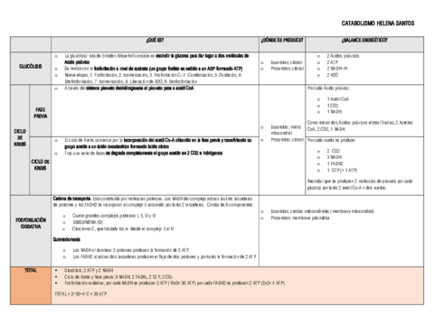 catabolismo.pdf