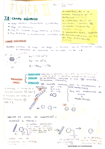 T8campo-electrico.pdf