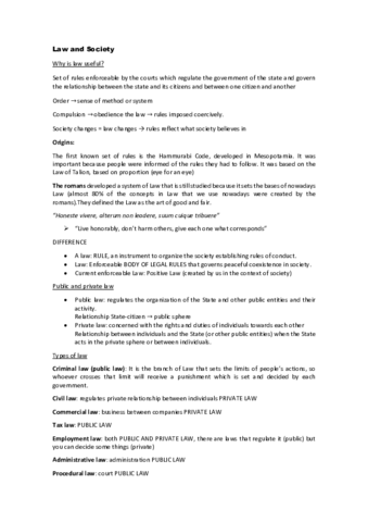 introduction-to-Law-apuntes-ingles.pdf