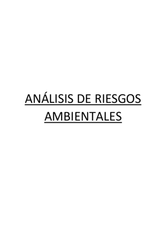ANALISIS-DE-RIESGOS-TEORIA.pdf