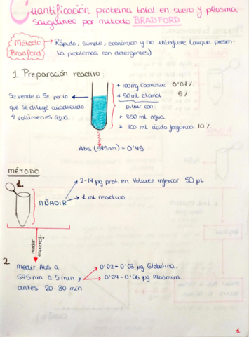 Esquemas-Practicas-BQ-Metabolica.pdf