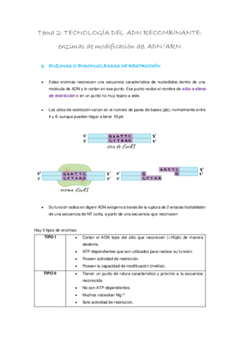 TEORIA-1o-PARCIAL-GENETICA-MOL.pdf