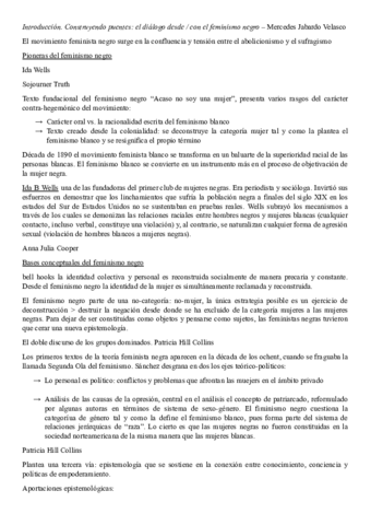 feminismonegro.pdf