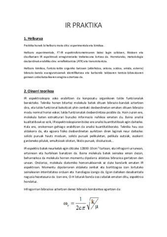 Infragorri-txostena.pdf