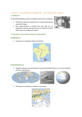 TEMA 7.pdf