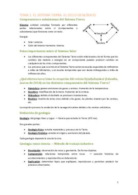 TEMA 1.pdf