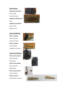 fosiles.pdf