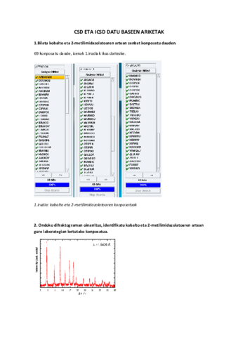 CSD-txostena.pdf