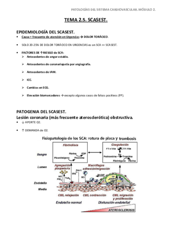 Tema-2.pdf