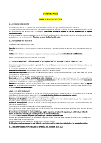 apuntes-civil-.pdf