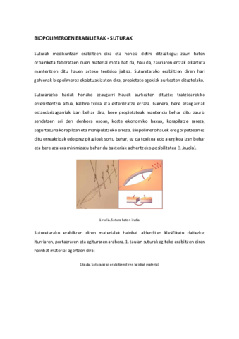 SuturakBiopolimeroen-erabilerak.pdf
