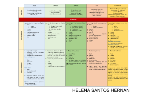 VERTEBRADOS-HELENA-SANTOS.pdf