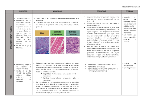 TEJIDOS-HELENA-SANTOS.pdf