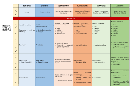 INVERTEBRADOS-HELENA-SANTOS.pdf
