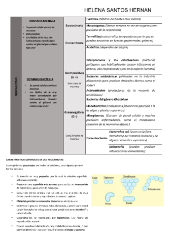 MICROORGANISMOS-HELENA-SANTOS-HERNAN.pdf