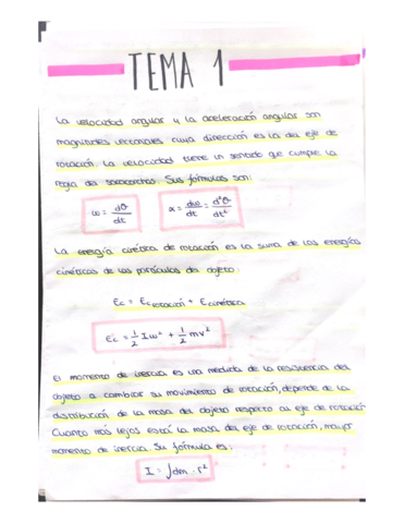 Apuntes-teoria-fisica-II-Temas-1-6.pdf