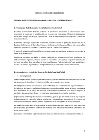 APUNTES-PREVENCION-Y-SEGURIDAD-1.pdf