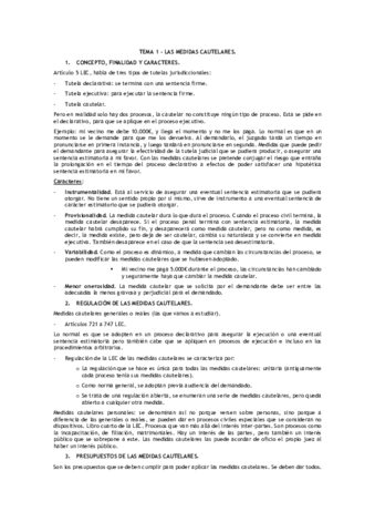 TEMARIO-PROCESAL.pdf