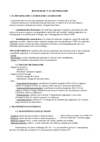 RESUM-BLOC-V-METABOLISME.pdf