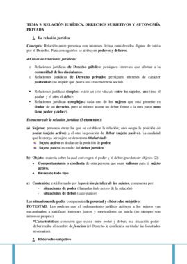 TEMA 9 CIVIL.pdf