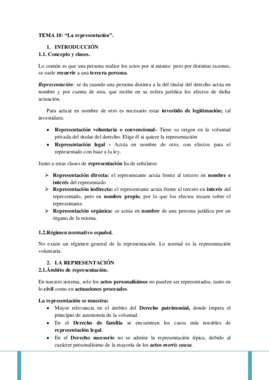 TEMA 10 CIVIL.pdf