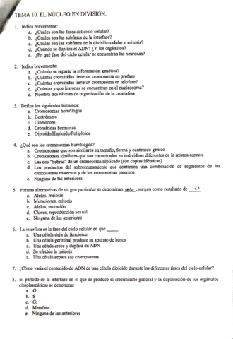 BG-preguntas-autoevaluacion-Temas-10-13.pdf