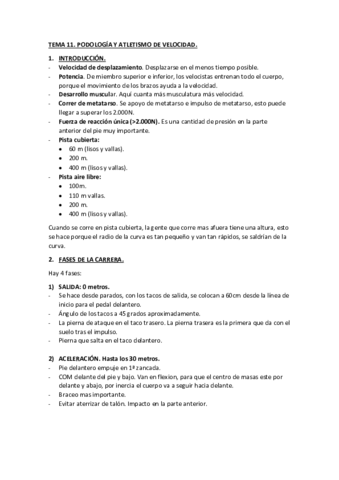 TEMA-11.pdf