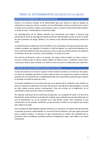 Tema-14-Determinantes-sociales-de-la-salud-JUDITH-Y-LEYRE.pdf