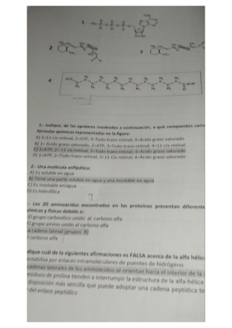 bio-examen.pdf